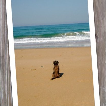 Amba Playa