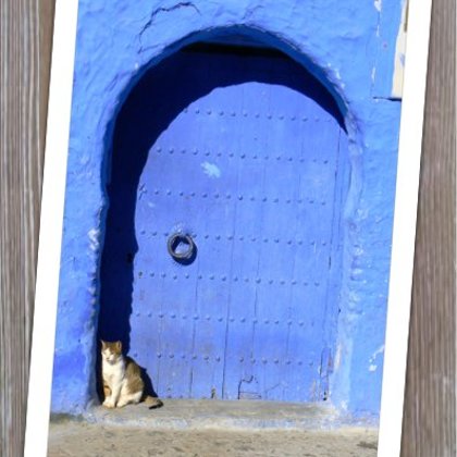 Puerta Azul Gatto Abajo